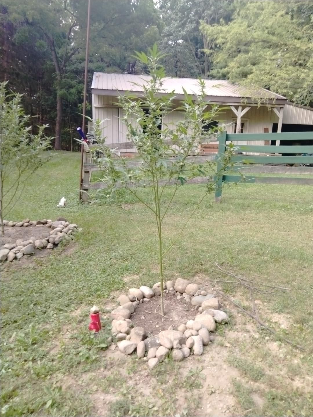 Photo 4