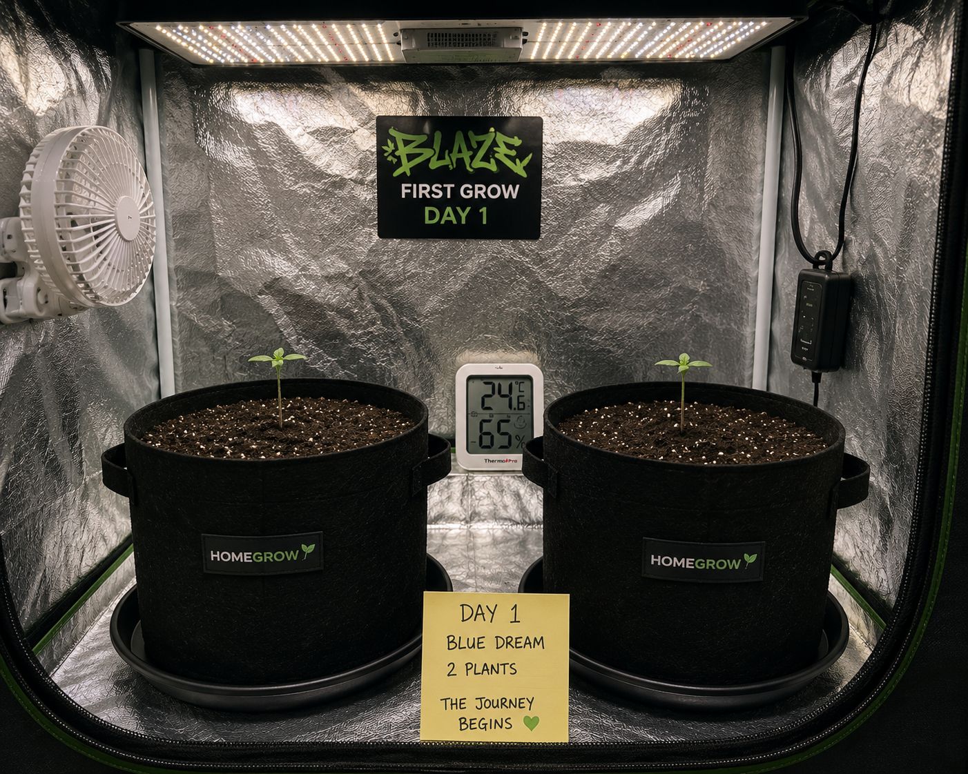 My first home grow jerney 