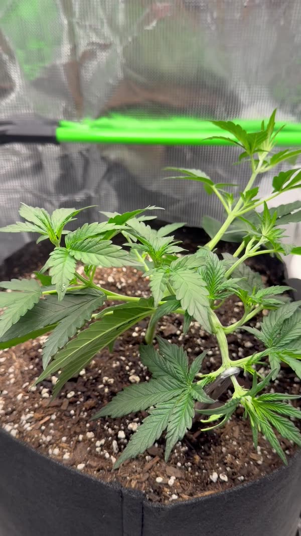 Day 23